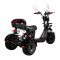 Электроскутер CityCoco SkyBoard Trike BR40-3000 PRO FAST 