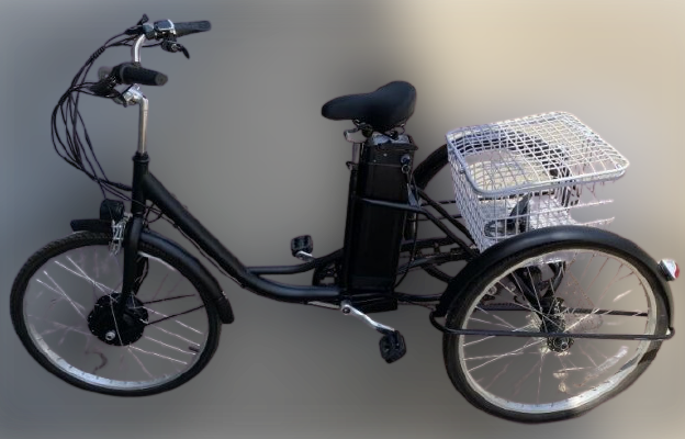 E-trike Voshod 500 E-trike Voshod 500