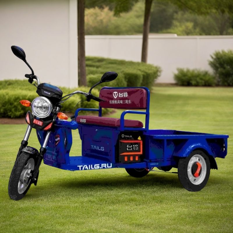Электротрицикл TaiLG TL650DQZ-55Z original Электротрицикл TaiLG TL650DQZ-55Z original