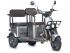 Электротрицикл Wanshida U1-X 60V 800Вт