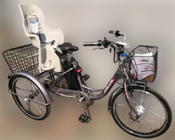 Электровелосипед трехколесный двухместный с ребенком Ekobike Kid-Kargo Электровелосипед трехколесный двухместный с ребенком Ekobike Kid-Kargo